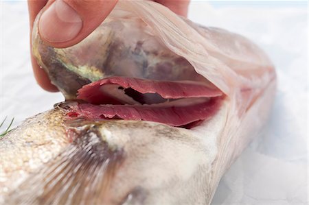 probar (examen) - Fish being prepared Foto de stock - Sin royalties Premium, Código: 659-06188269