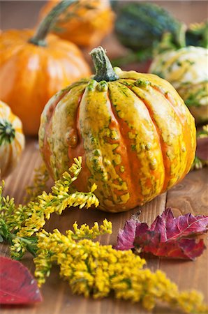 Assorted Gourds with Yellow Flowers and Autumn Leaves Stock Photo - Premium Royalty-Free, Code: 659-06188428