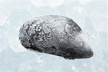 frozen food ice - A frozen mussel Stock Photo - Premium Royalty-Free, Code: 659-06183748