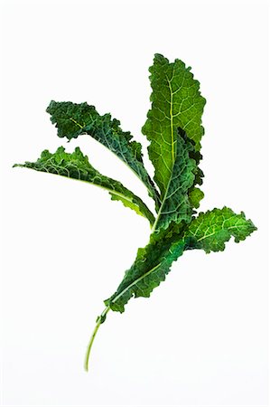 Kale leaves Foto de stock - Sin royalties Premium, Código: 659-06183790