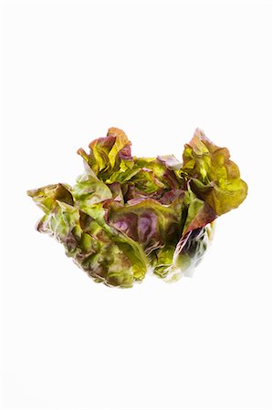 simsearch:659-01854529,k - Head of Red Leaf Lettuce Stock Photo - Premium Royalty-Free, Code: 659-06183791