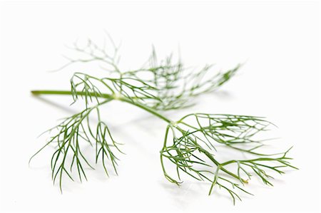 foeniculum vulgare - Fresh fennel Stock Photo - Premium Royalty-Free, Code: 659-06183958