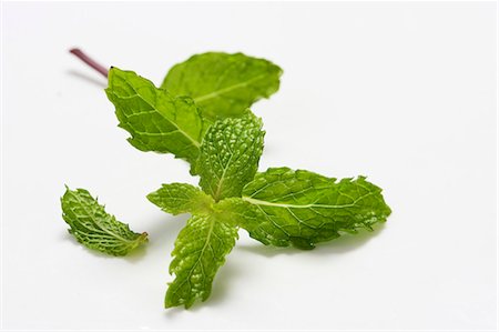 simsearch:659-01845620,k - Fresh mint leaves Stock Photo - Premium Royalty-Free, Code: 659-06183964