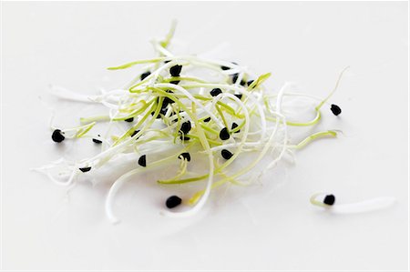 sprout (young shoots eaten raw) - Pousses d'oignons frais Photographie de stock - Premium Libres de Droits, Code: 659-06183965