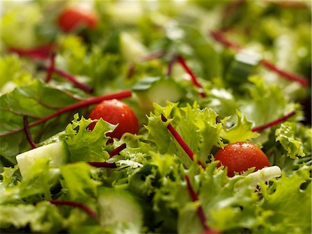 simsearch:659-07598633,k - Green salad with cherry tomatoes and cucumber (close up) Foto de stock - Sin royalties Premium, Código: 659-06306378