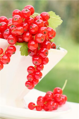 simsearch:659-07958234,k - Redcurrants in a bowl Stock Photo - Premium Royalty-Free, Code: 659-06306387
