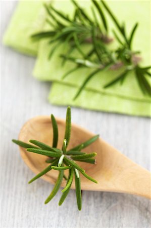 rosemary - Romarin frais sur une cuillère de bois Photographie de stock - Premium Libres de Droits, Code: 659-06307105