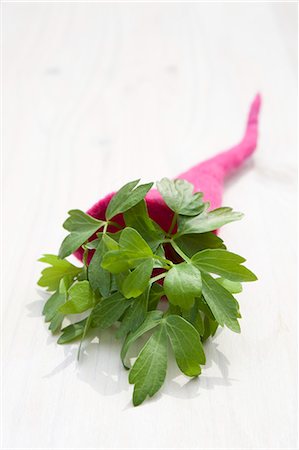 simsearch:659-06494025,k - Livèche (Levisticum Officinale) dans une corne d'abondance en feutre Photographie de stock - Premium Libres de Droits, Code: 659-06307323