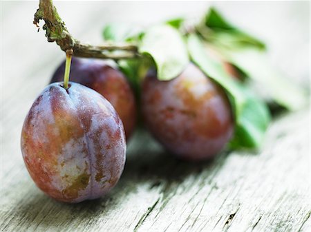 prunus domestica - Plums on the branch Foto de stock - Sin royalties Premium, Código: 659-06307868