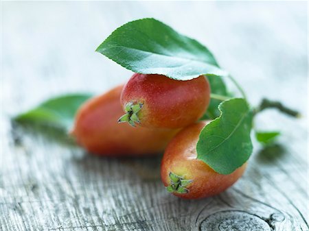 Crabapples on a twig with Leeds Stock Photo - Premium Royalty-Free, Code: 659-06307874