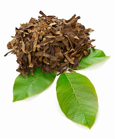 feuille de thé - Walnut leaves, dried and chopped on a fresh walnut leaf Foto de stock - Sin royalties Premium, Código: 659-06372428