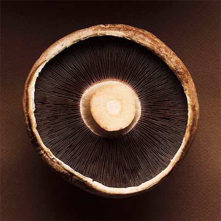 Le dessous du champignon portobello Photographie de stock - Premium Libres de Droits, Code: 659-06372459