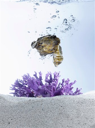 Oysters Falling into Water; Coral on the Bottom in Sand Foto de stock - Sin royalties Premium, Código: 659-06372583