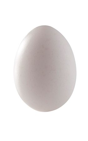 Un œuf de poule Photographie de stock - Premium Libres de Droits, Code: 659-06372668