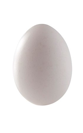 A hen's egg Foto de stock - Sin royalties Premium, Código: 659-06372668