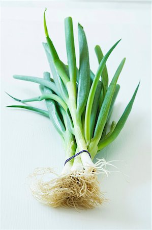 spring onion - Une botte d'oignons de printemps Photographie de stock - Premium Libres de Droits, Code: 659-06372816