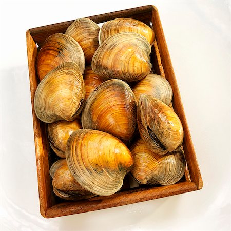simsearch:659-07739574,k - Crate of Big Neck Clams; From Above Stock Photo - Premium Royalty-Free, Code: 659-06373065