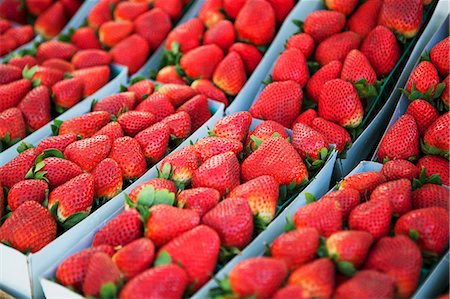 food in rows - Baskets of Freshly Picked Organic Strawberries at a Farmer's Market Stock Photo - Premium Royalty-Free, Code: 659-06373108