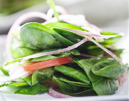 spinach - Spinach Salad with Onion and Tomato; Close Up Stock Photo - Premium Royalty-Free, Code: 659-06373268