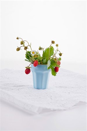 flora - Wild strawberries in tub Stock Photo - Premium Royalty-Free, Code: 659-06373301