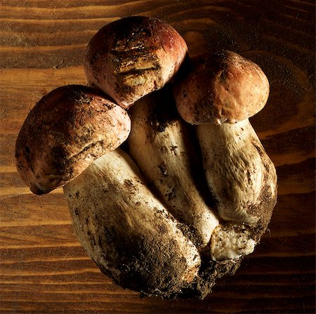 simsearch:659-06495434,k - Fresh cep mushrooms Foto de stock - Sin royalties Premium, Código: 659-06373835