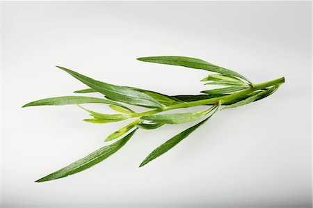 simsearch:659-06494025,k - Tarragon (Artemisia dracunculus) Photographie de stock - Premium Libres de Droits, Code: 659-06494133