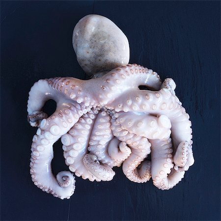 Fresh octopus Photographie de stock - Premium Libres de Droits, Code: 659-06494151