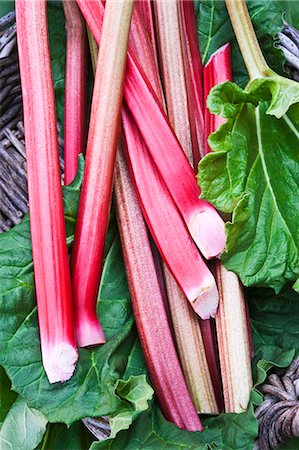 spring season - Fresh rhubarb and leaves Foto de stock - Sin royalties Premium, Código: 659-06494285