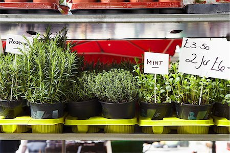simsearch:659-07599040,k - Various pots of herbs on a herb stall Photographie de stock - Premium Libres de Droits, Code: 659-06494324