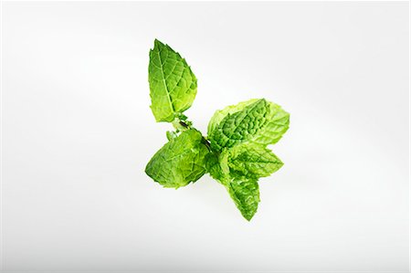 Greek mint Stock Photo - Premium Royalty-Free, Code: 659-06494421