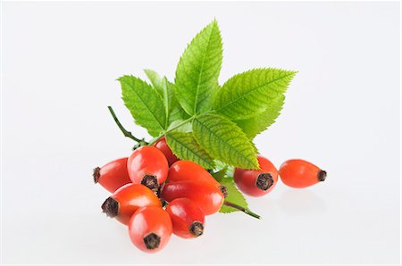 Rose hips with leaves Photographie de stock - Premium Libres de Droits, Code: 659-06494437