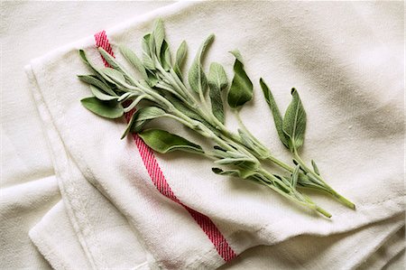 simsearch:659-06155363,k - Fresh Sage on a Dish Towel Foto de stock - Sin royalties Premium, Código: 659-06494520