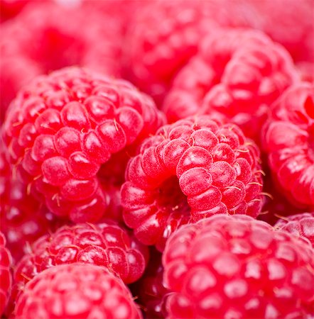 rubus idaeus - Raspberries (close-up) Stock Photo - Premium Royalty-Free, Code: 659-06494925