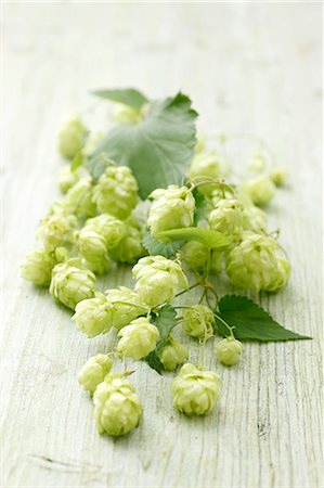 Hops sprouts on a wooden surface Stock Photo - Premium Royalty-Free, Code: 659-06494998