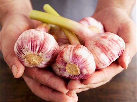 simsearch:659-06306750,k - Hands holding fresh garlic bulbs Stockbilder - Premium RF Lizenzfrei, Bildnummer: 659-06495194