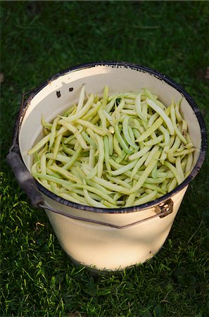 simsearch:659-03534912,k - Wax beans Foto de stock - Royalty Free Premium, Número: 659-06495363