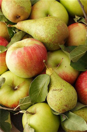 simsearch:659-07597668,k - Pears and apples with leaves Stock Photo - Premium Royalty-Free, Code: 659-06495502