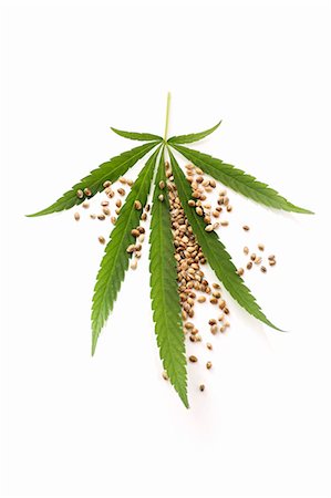 Hemp seeds and a hemp leaf Foto de stock - Sin royalties Premium, Código: 659-06495531