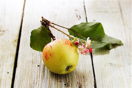 An apple on a twig with blossoms Stockbilder - Premium RF Lizenzfrei, Bildnummer: 659-06495541