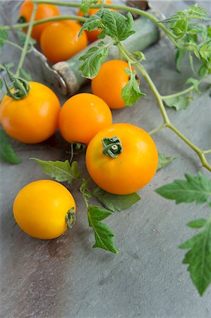 simsearch:659-06495594,k - Yellow tomatoes with leaves Stockbilder - Premium RF Lizenzfrei, Bildnummer: 659-06495595