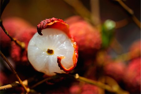 Thai lychees Photographie de stock - Premium Libres de Droits, Code: 659-06495677