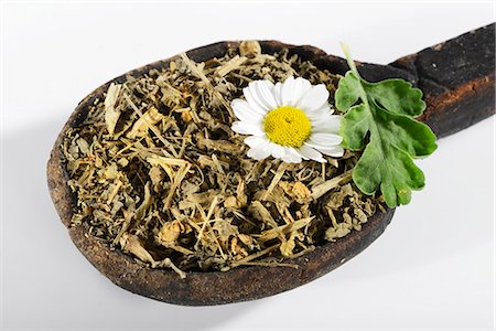 simsearch:659-06306524,k - Dried feverfew on a wooden spoon Photographie de stock - Premium Libres de Droits, Code: 659-06495738