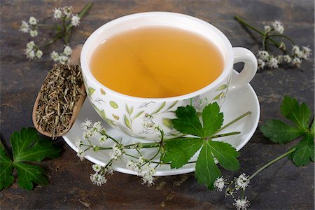 simsearch:659-03537758,k - Wood sanicle ((Sanicula europaea): tea, tea leaves and fresh herbs Stock Photo - Premium Royalty-Free, Code: 659-06495779