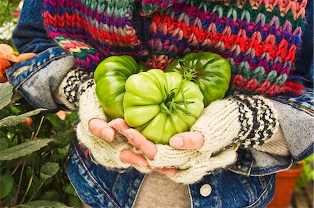 simsearch:659-06903197,k - Hands holding three green tomatoes (type: costoluto florentino) Foto de stock - Sin royalties Premium, Código: 659-06493672