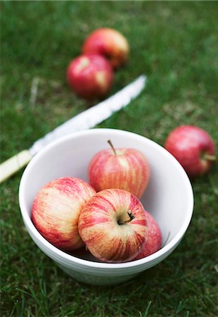 simsearch:659-07598972,k - Red Gala apples in a bowl in a field Photographie de stock - Premium Libres de Droits, Code: 659-06493725