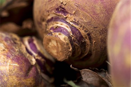 swedish turnip - Turnips (close-up) Stock Photo - Premium Royalty-Free, Code: 659-06671004