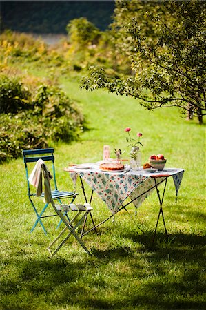 rural scene table - A Table Set Outside in the Country with a Peach Dessert Foto de stock - Sin royalties Premium, Código: 659-06671011