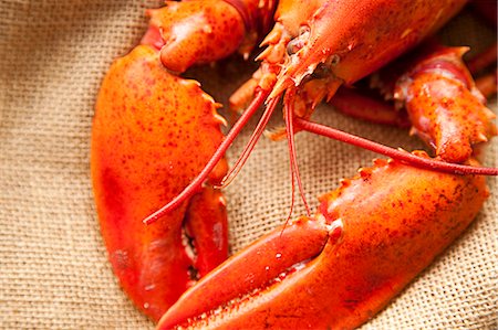 Boiled Lobster on a Burlap Sack Photographie de stock - Premium Libres de Droits, Code: 659-06671176