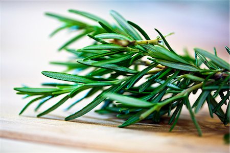 rosemary sprig - Rosemary Sprigs; Close Up Stock Photo - Premium Royalty-Free, Code: 659-06671178