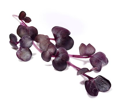 simsearch:659-06494025,k - Red watercress Photographie de stock - Premium Libres de Droits, Code: 659-06671326